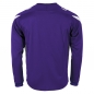 Preview: Stanno Drive Match Trikot Langarm